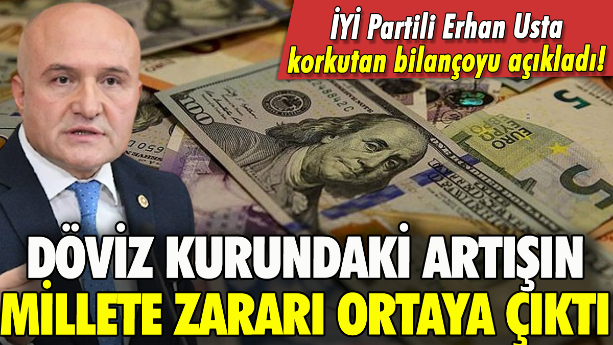 Döviz kurundaki artışın millete zararı ortaya çıktı!