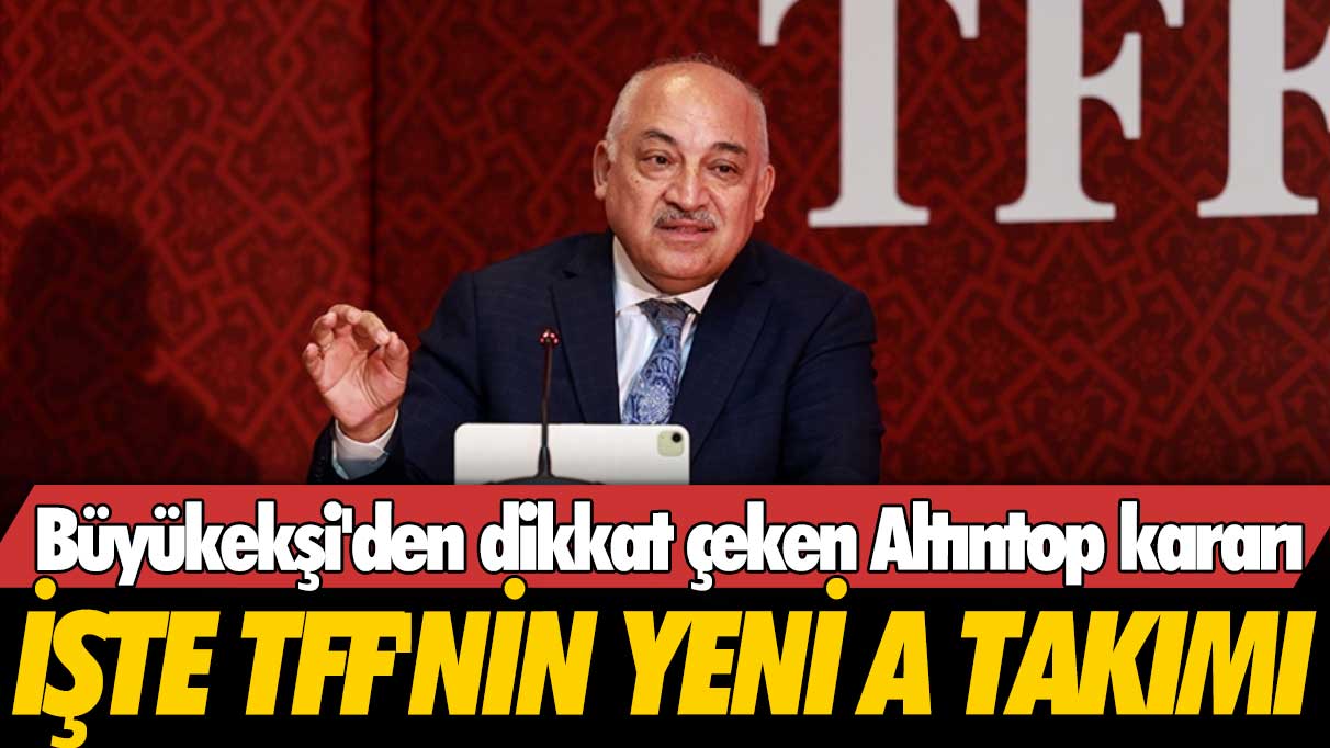 Büyükekşi'den dikkat çeken Hamit Altıntop kararı: TFF'nin yeni A Takımı belli oldu