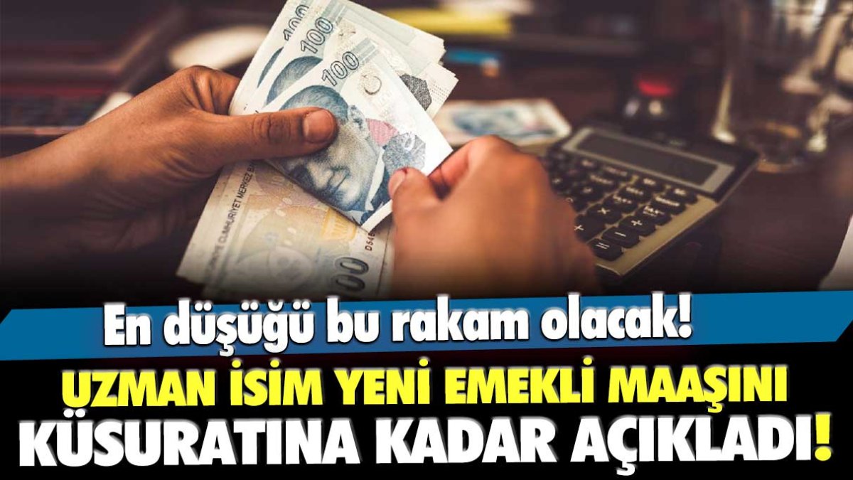 Uzman isim yeni emekli maaşını açıkladı: En düşüğü bu rakam olacak!