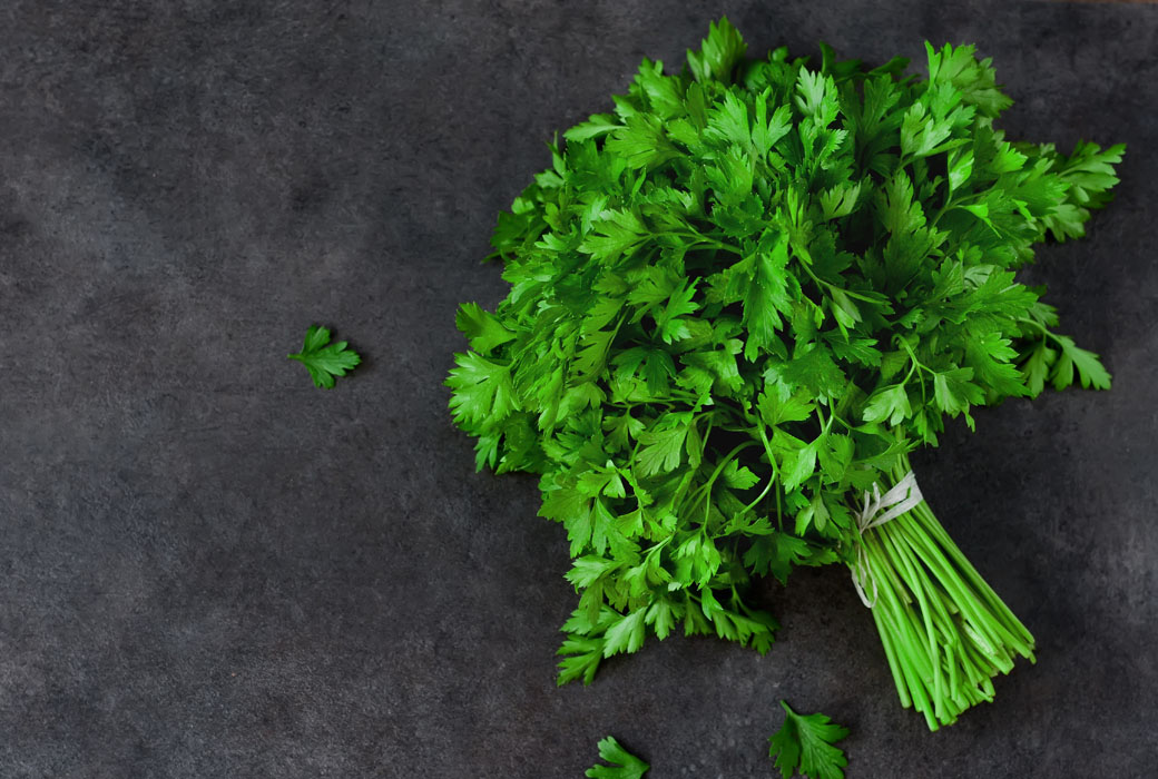 Rüyada maydanoz görmek ne anlama geliyor