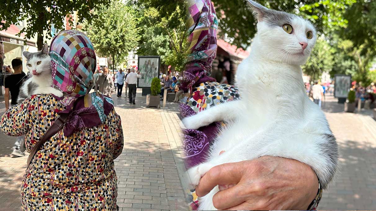 Sahibinin kucağında Eskişehir’i gezen Boncuk ilgi odağı