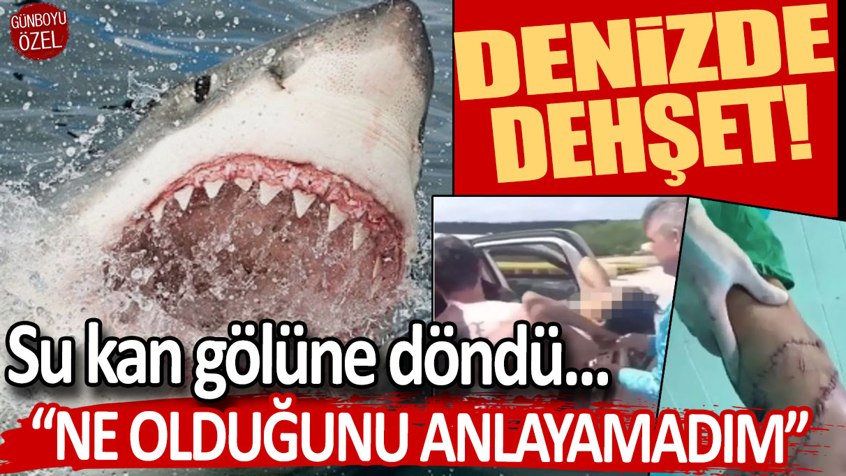 Denizde dehşet! Su kan gölüne döndü: "Ne olduğunu anlayamadım"