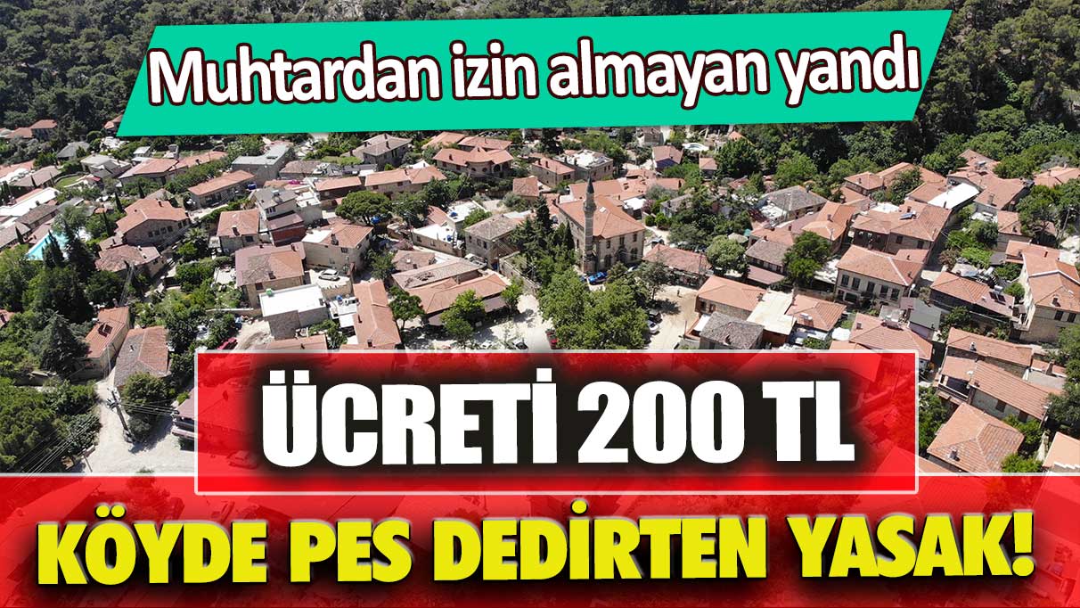 Köyde pes dedirten yasak: Ücreti 200 TL, muhtardan izin almayan yandı