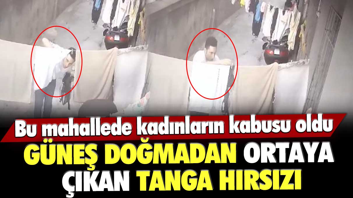 Bu mahallede kadınların kabusu oldu! Güneş doğmadan ortaya çıkan tanga hırsızı