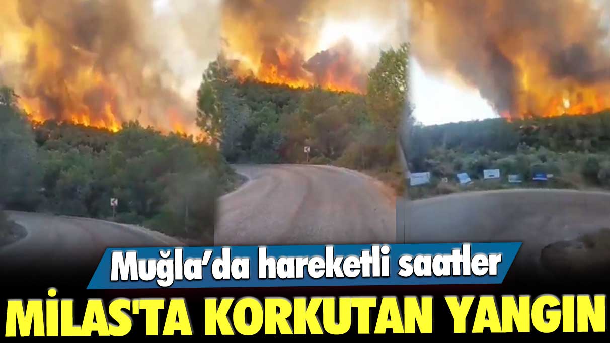 Muğla'da hareketli saatler! Milas’ta orman yangını