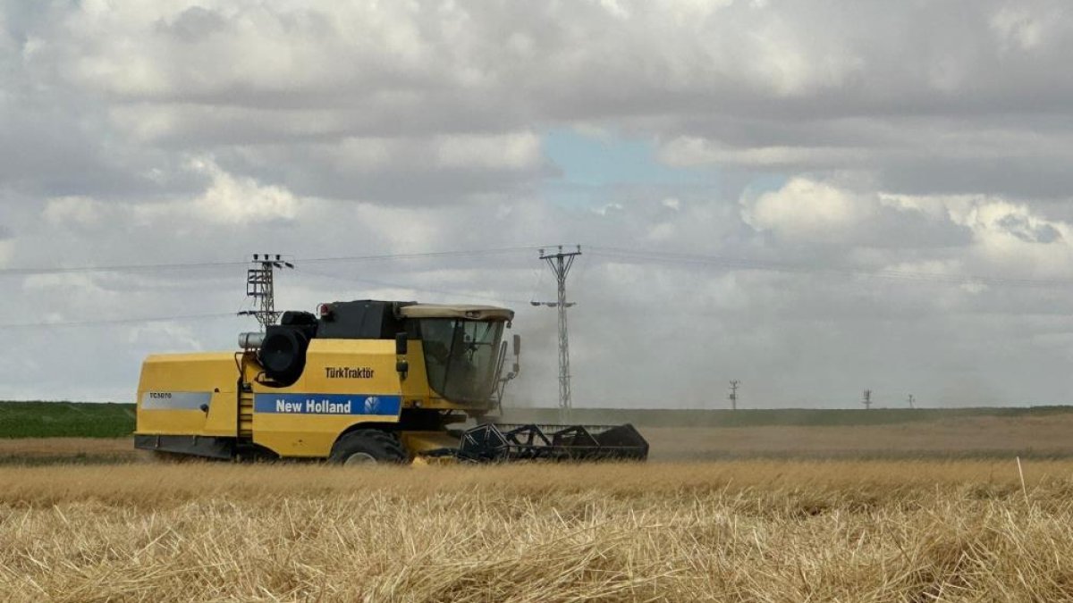 Konya'da biçerdöver hasat fiyatları belli oldu