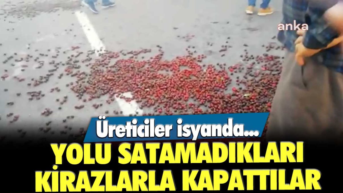 Üreticiler isyanda... Yolu satamadıkları kirazlarla kapattılar