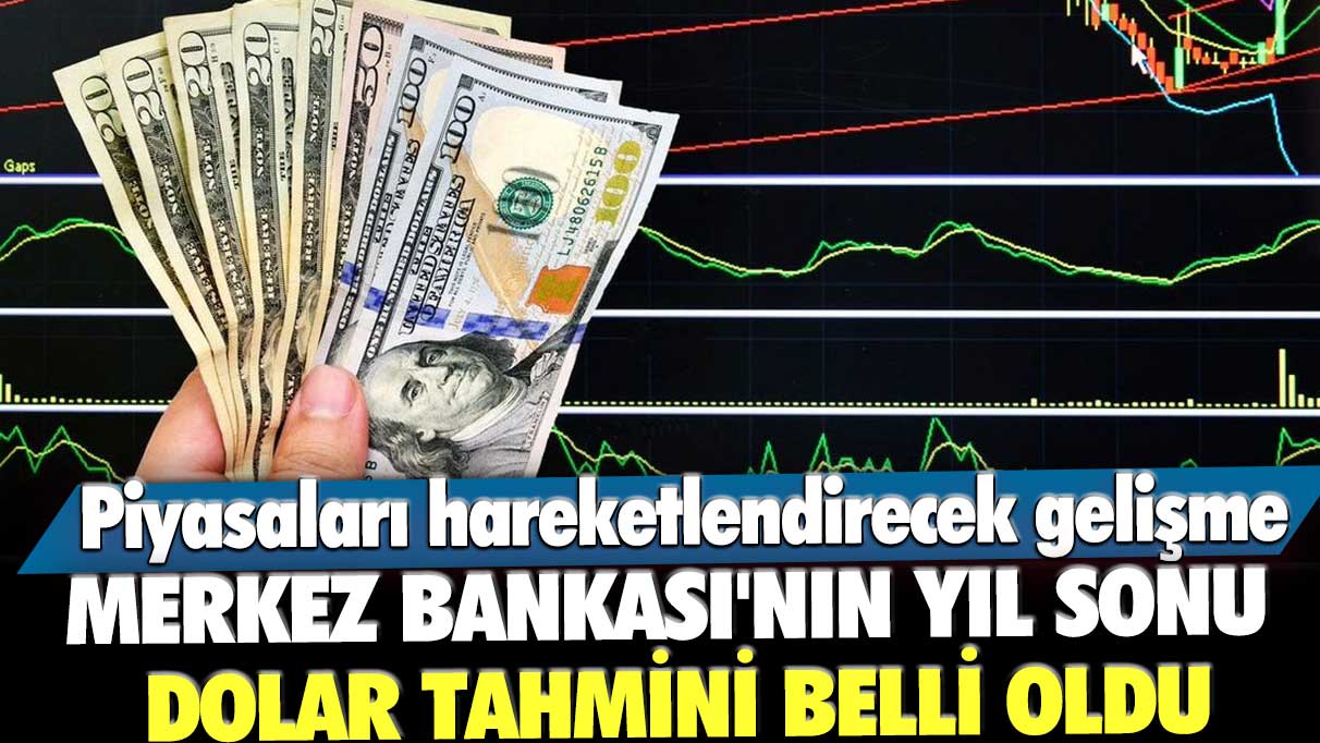 Piyasaları hareketlendirecek gelişme! Merkez Bankası'nın yıl sonu dolar/TL tahmini belli oldu