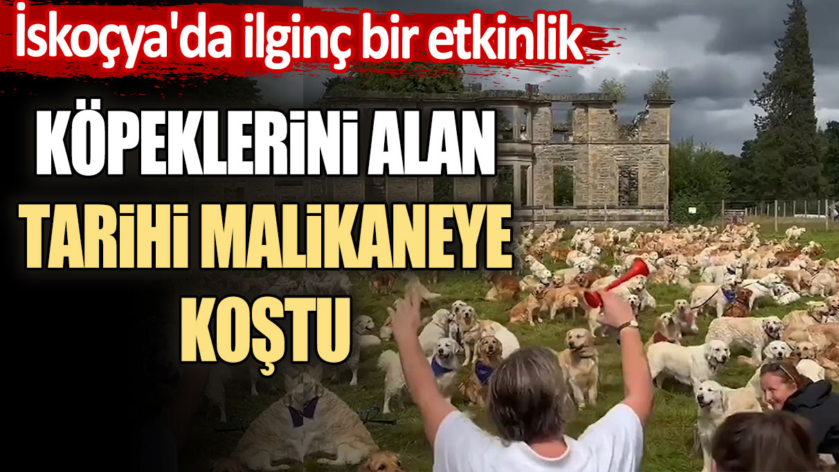 İskoçya'da ilginç bir etkinlik: Köpeklerini alan tarihi malikaneye koştu