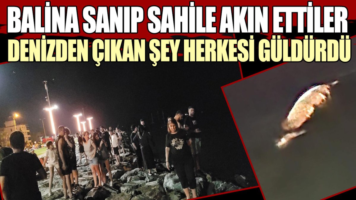 Balina sanıp sahile akın ettiler denizden çıkan şey herkesi güldürdü