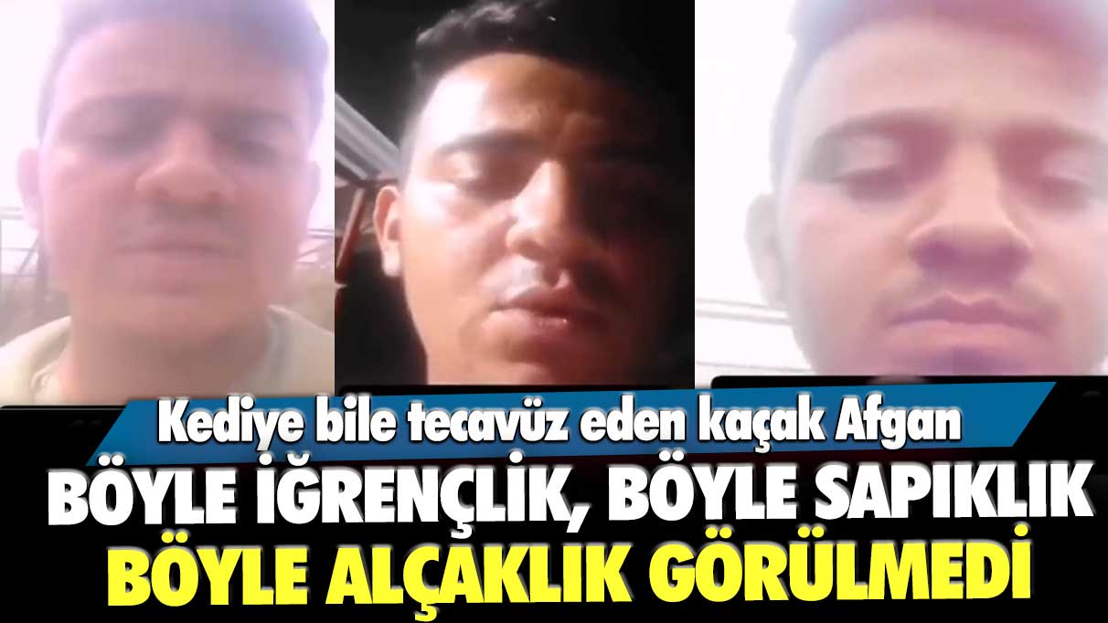 Kediye bile tecavüz eden kaçak Afgan! Böyle iğrençlik, böyle sapıklık, böyle alçaklık görülmedi