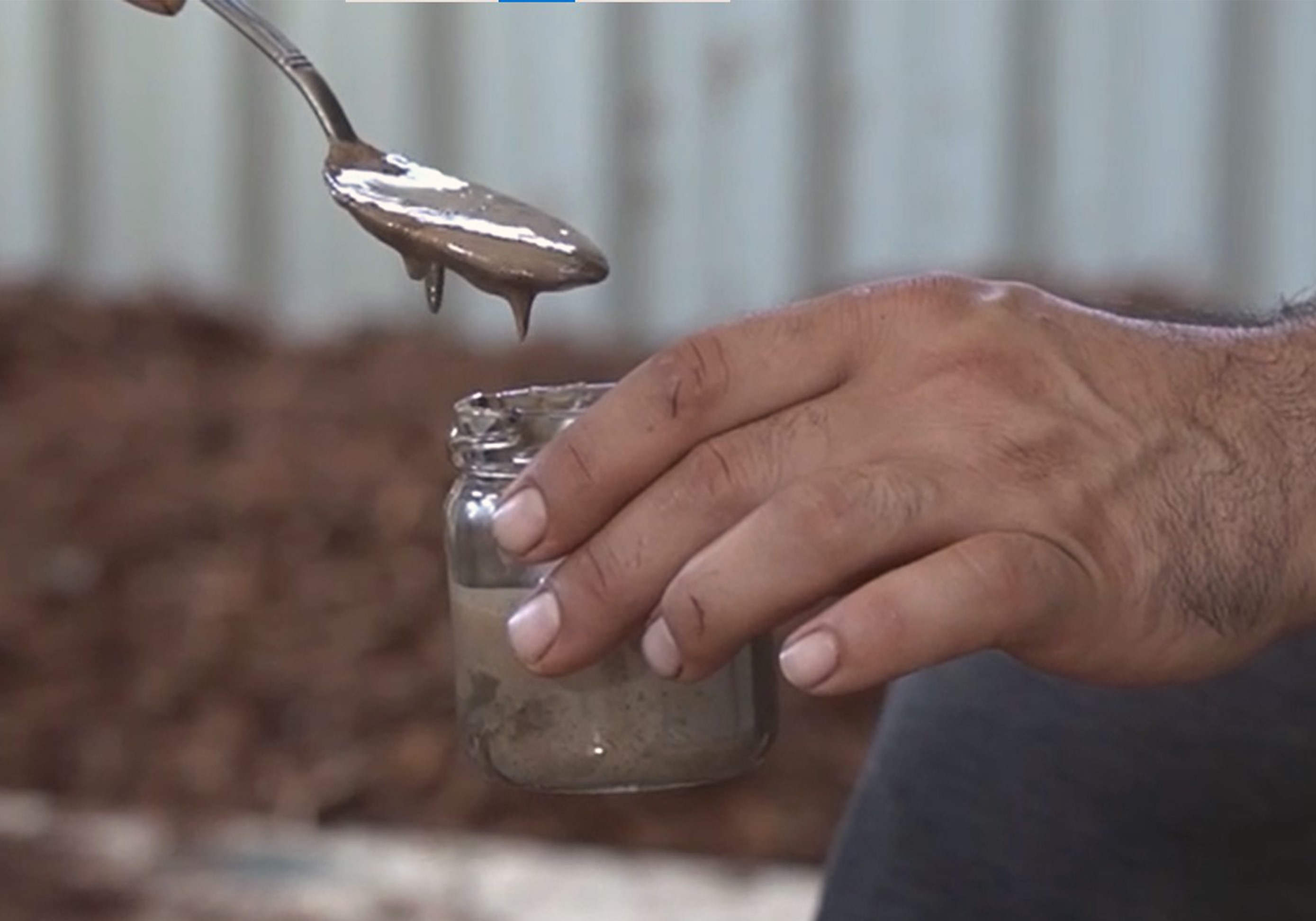 Üretimi 6 yıl sonra başladı: Kilosu 5 bin lira!