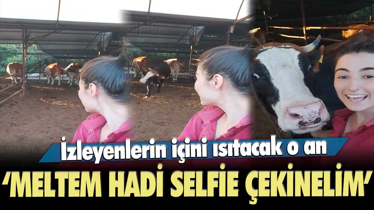 İzleyenlerin içini ısıtacak o an: Meltem hadi selfie çekinelim