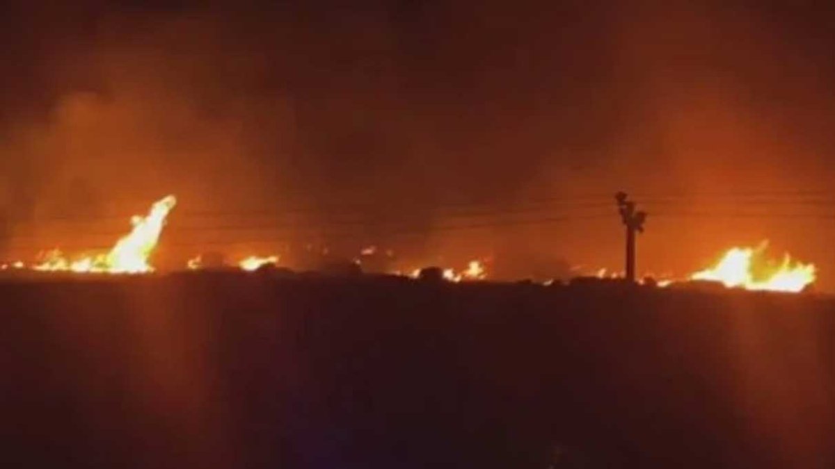 Çeşme'deki yangın kontrol altında