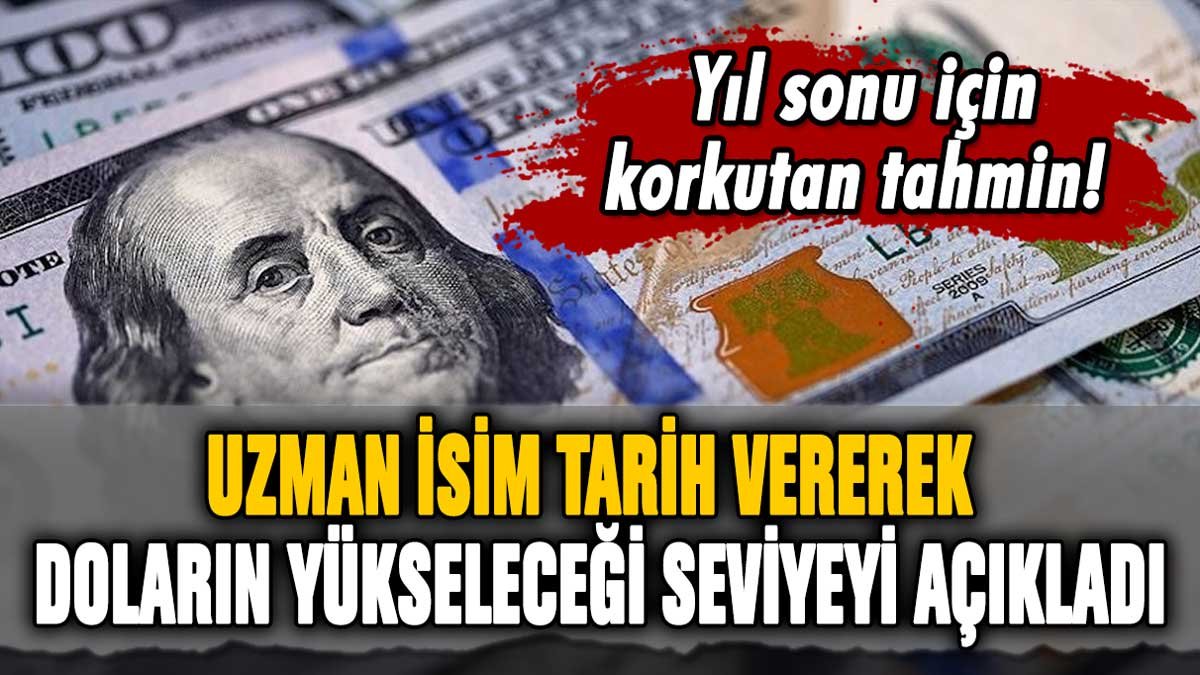 Uzman isim tarih vererek doların yükseleceği seviyeyi açıkladı