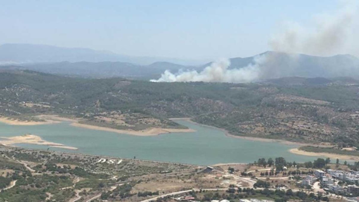 Milas'ta orman yangını çıktı: Söndürme çalışmaları başladı