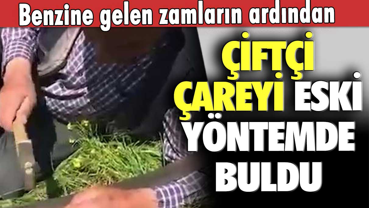 Benzine gelen zamların ardından!  Çiftçi çareyi eski yöntemde buldu