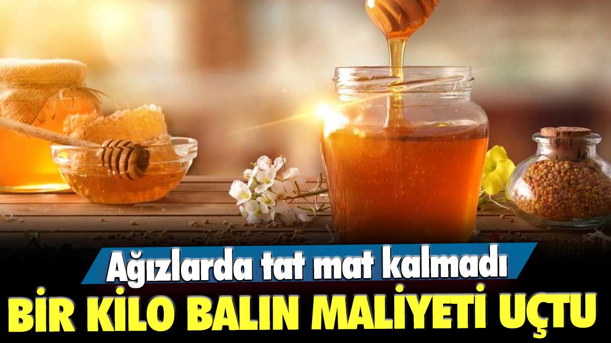 Bir kilo balın maliyeti uçtu: Ağızlarda tat mat kalmadı