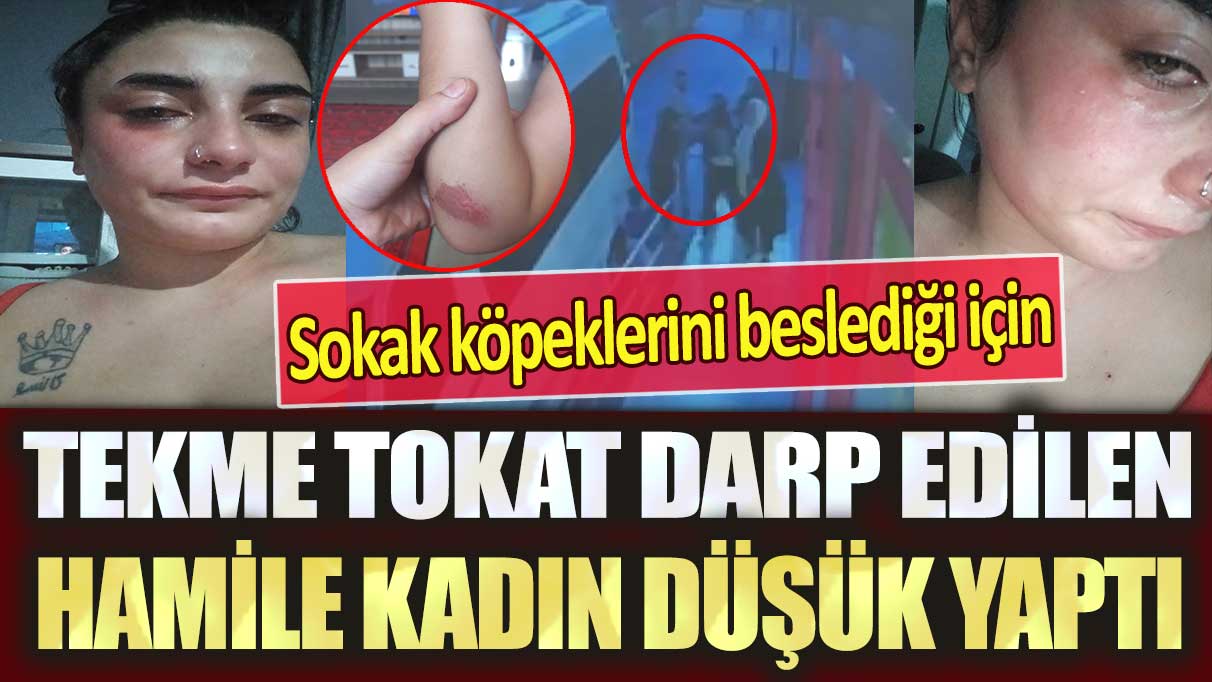 Kocaeli’de sokak köpeklerini beslediği için tekme tokat darp edilen hamile kadın düşük yaptı