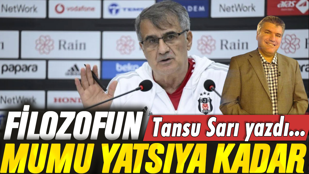 Filozofun mumu yatsıya kadar: Tansu Sarı yazdı...