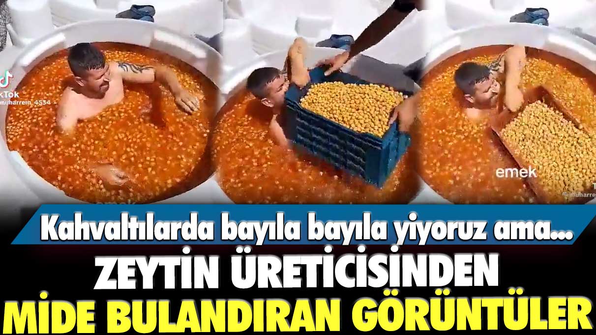 Zeytin üreticisinden mide bulandıran görüntüler! Kahvaltılarda bayıla bayıla yiyoruz ama...