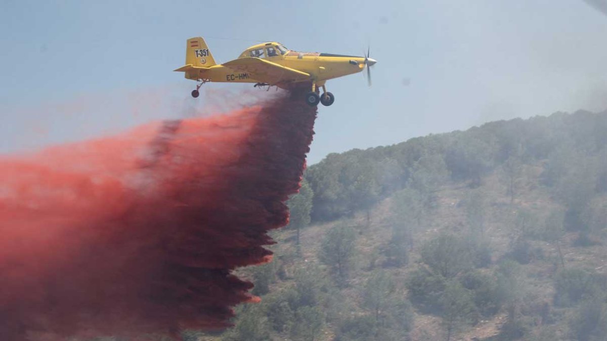 Manisa'da makilik alanda yangın