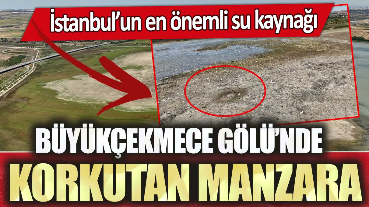 İstanbul’un en önemli su kaynağı Büyükçekmece Gölü’nde korkutan manzara