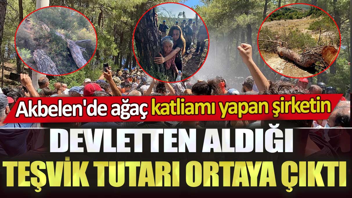 Akbelen'de ağaç katliamı yapan şirketin devletten aldığı teşvik tutarı ortaya çıktı