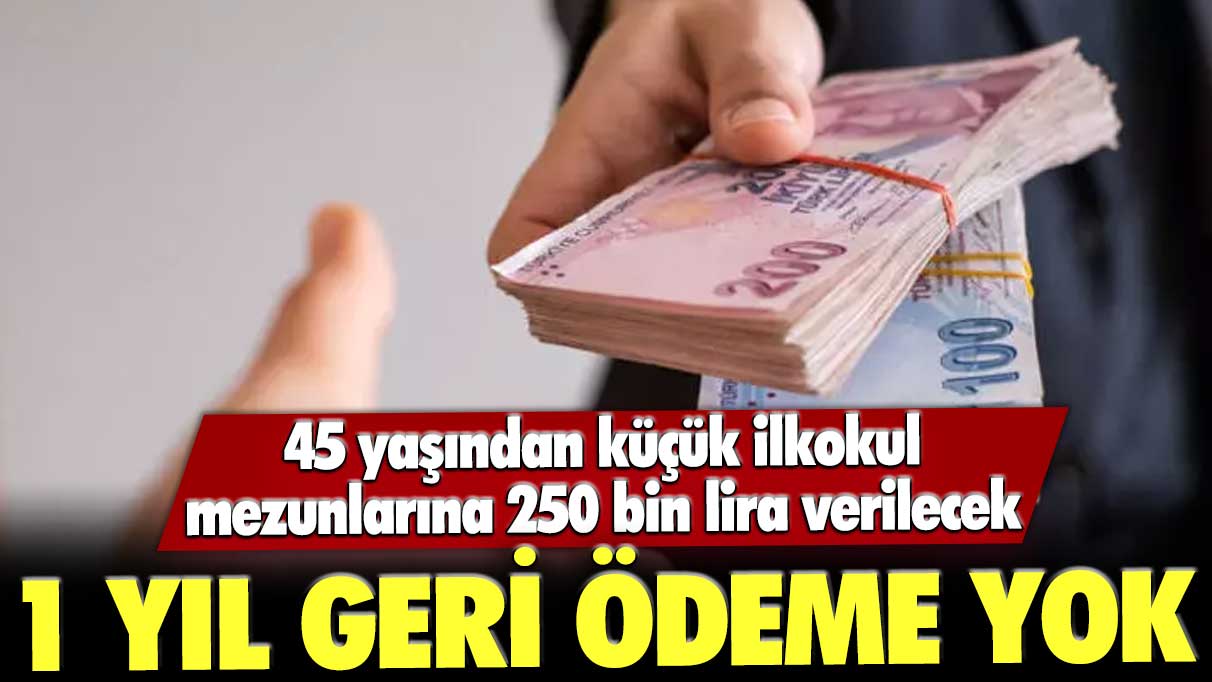 Kırk beş yaşından küçük ilkokul mezunlarına 250 bin lira verilecek: 1 yıl geri ödeme yok