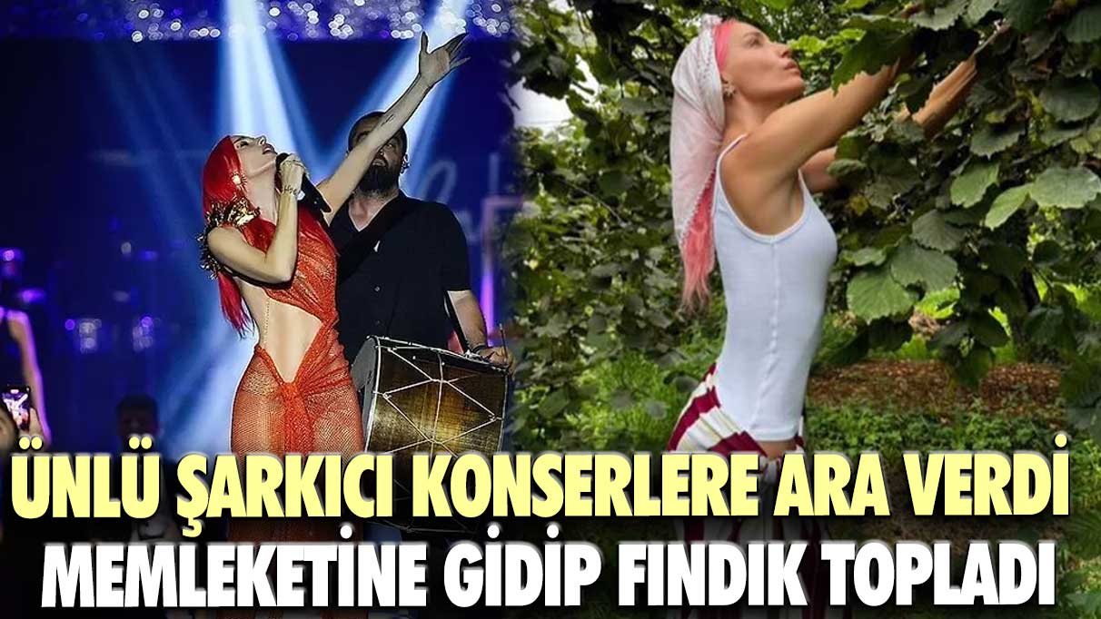 Ünlü şarkıcı konserlere ara verdi, memleketine gidip fındık topladı