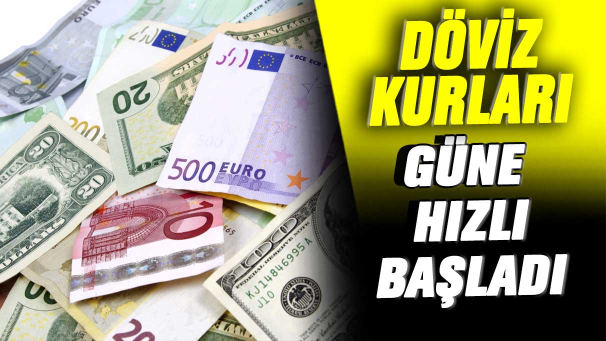 Döviz kurları güne hızlı başladı