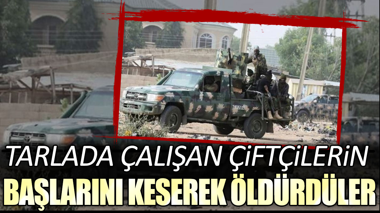 Tarlada çalışan çiftçilerin başlarını keserek öldürdüler