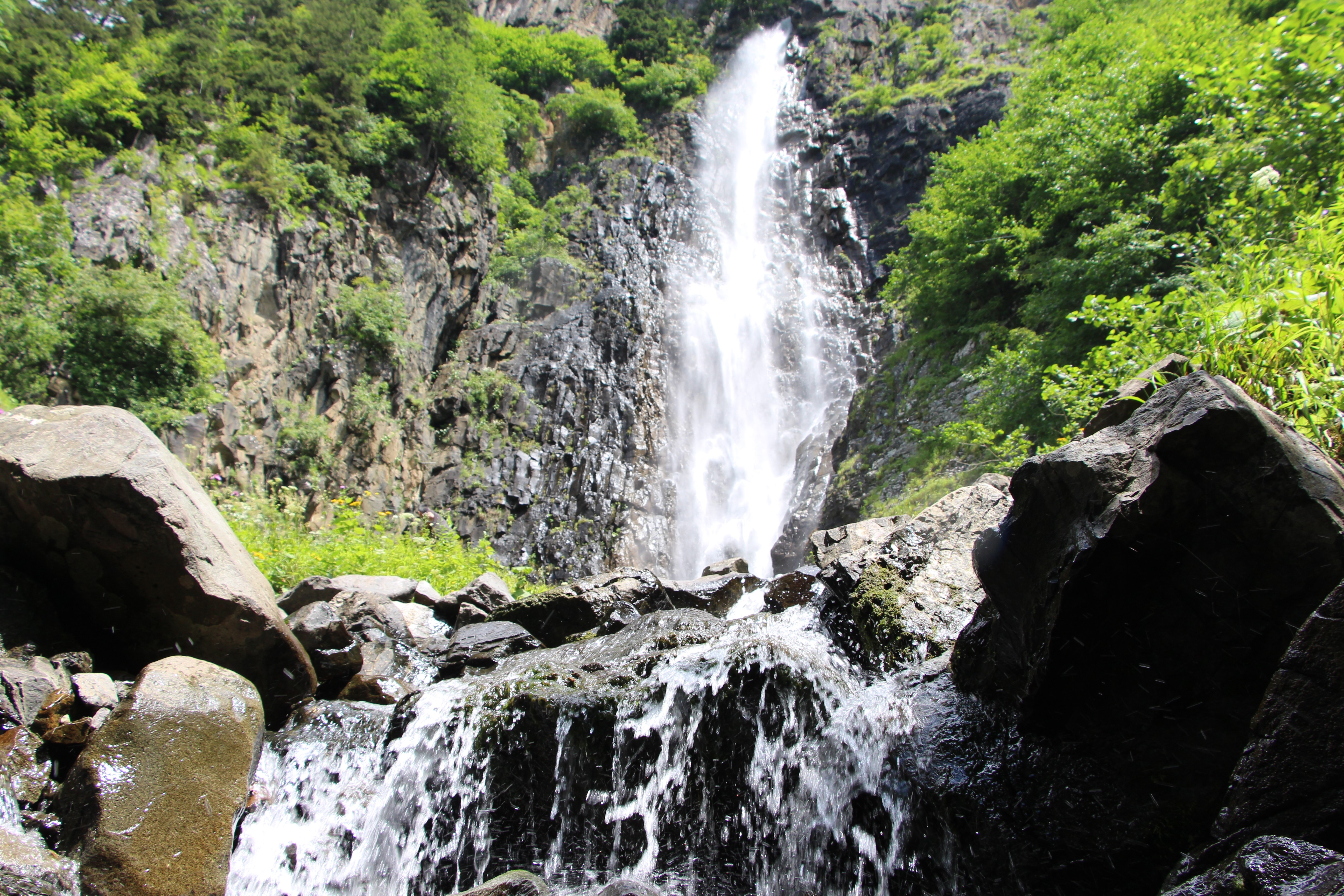Görenler hayret ediyor: Tamı tamına 120 metre!