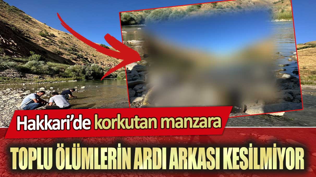 Hakkari’de korkutan manzara: Toplu ölümlerin ardı arkası kesilmiyor