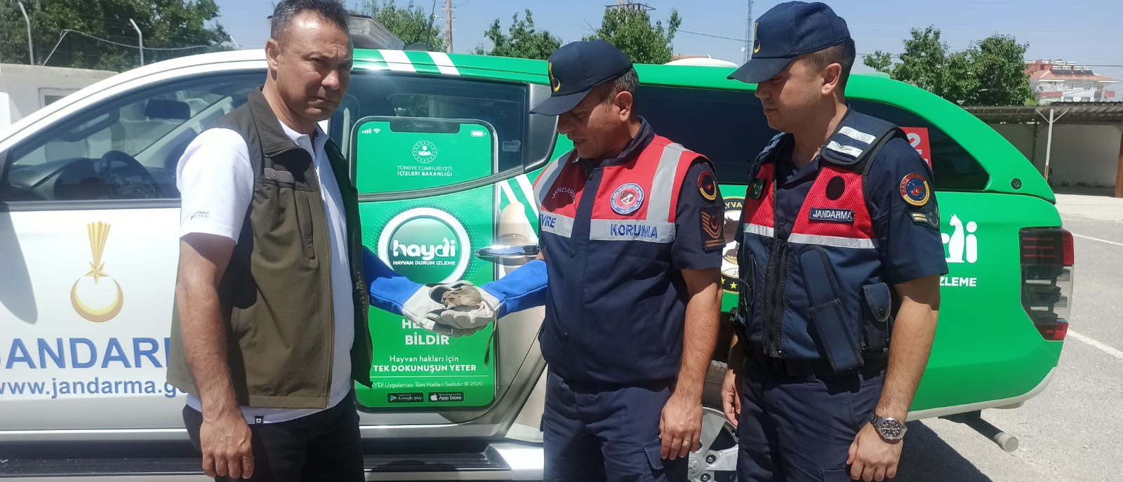 Nesli tükenmek üzere: Karamanda bitkin halde bulundu