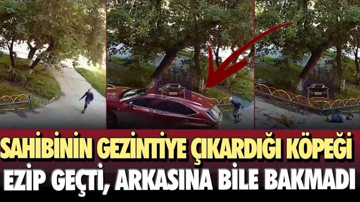 Sahibinin gezintiye çıkardığı köpeği ezip geçti, arkasına bile bakmadı