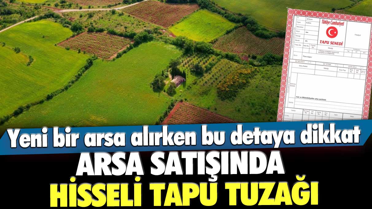 Arsa satışında hisseli tapu tuzağı! Yeni bir arsa alırken bu detaya dikkat