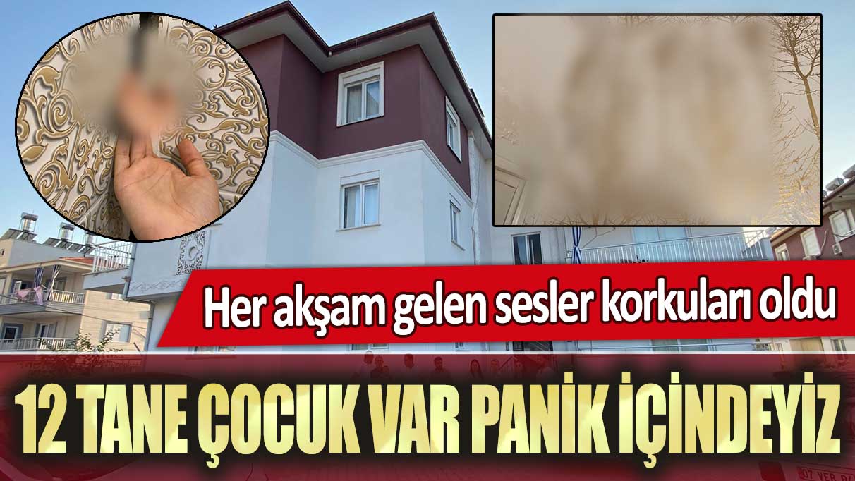 Antalya'da her akşam gelen sesler korkuları oldu: 12 tane çocuk var, panik içerisindeyiz