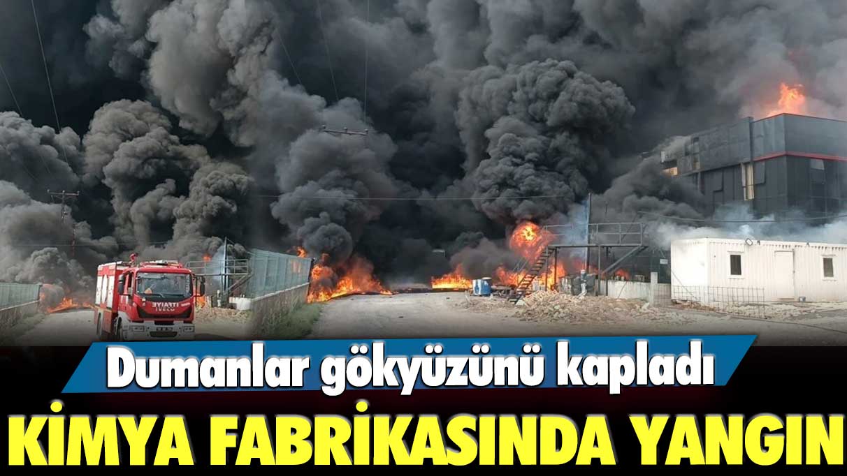 Tekirdağ’da kimya fabrikasında yangın