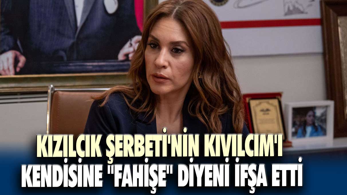 Kızılcık Şerbeti'nin Kıvılcım'ı Evrim Alasya kendisine "Fahişe" diyeni ifşa etti