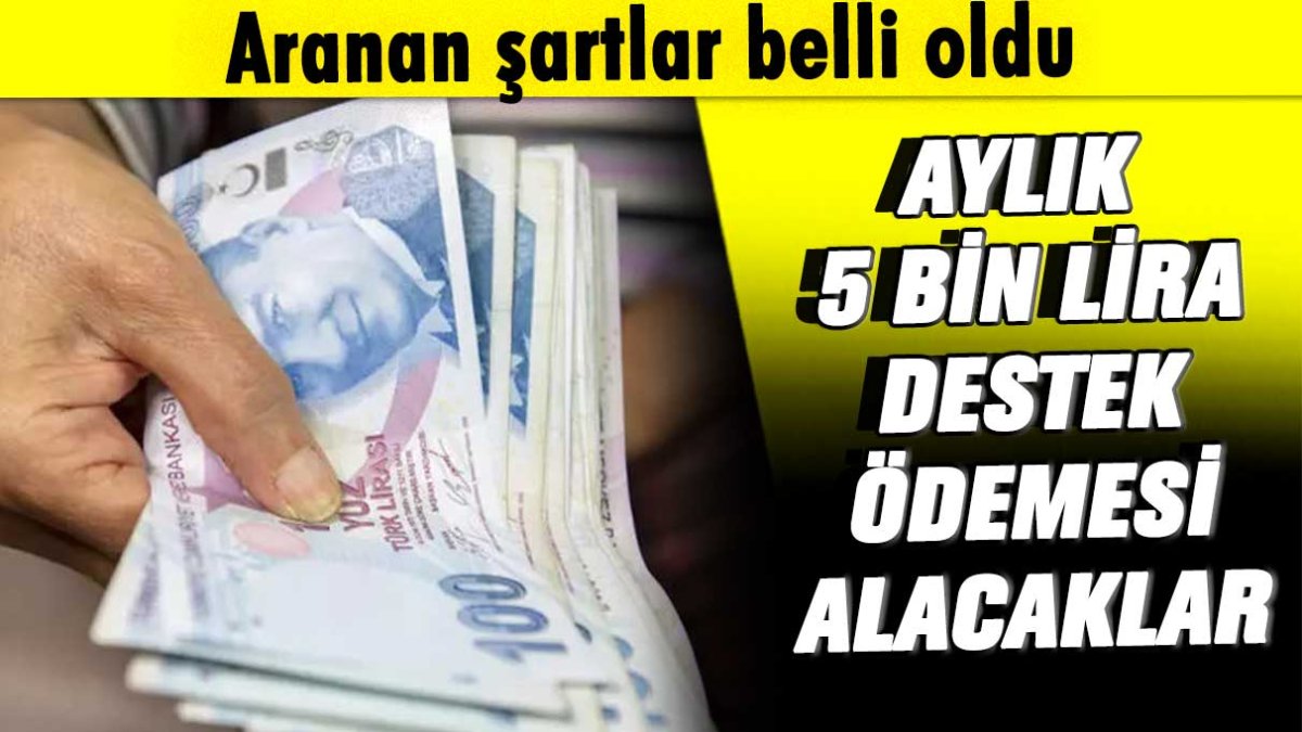 Aylık 5 bin lira destek ödemesi yapılacak: İşte aranan şartlar