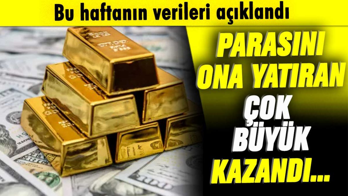 Parasını buna yatıran kazandı: İşte en çok kazandıran yatırıma araçları