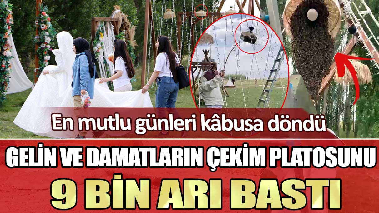 Erzurum’da gelin ve damatların çekim platosunu 9 bin arı bastı: En mutlu günleri kâbusa döndü