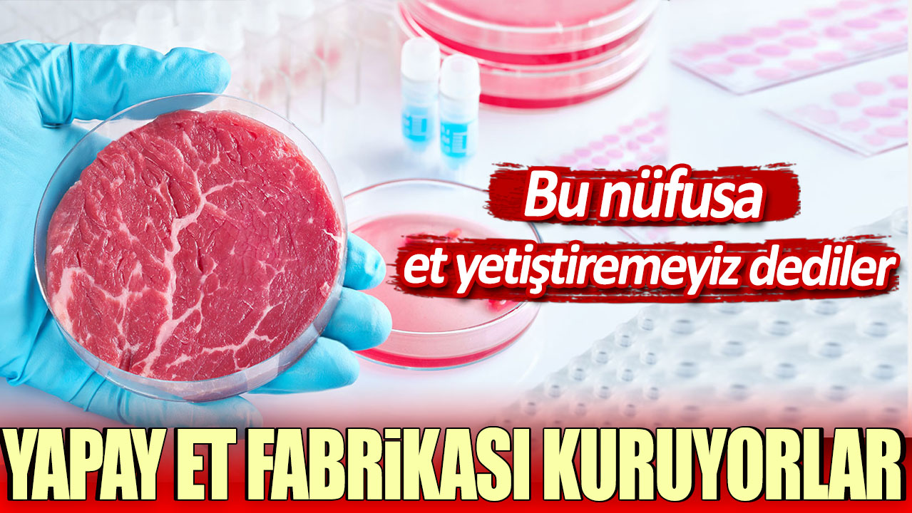 Bu nüfusa et yetiştiremeyiz dediler: Yapay et fabrikasi kuruyorlar