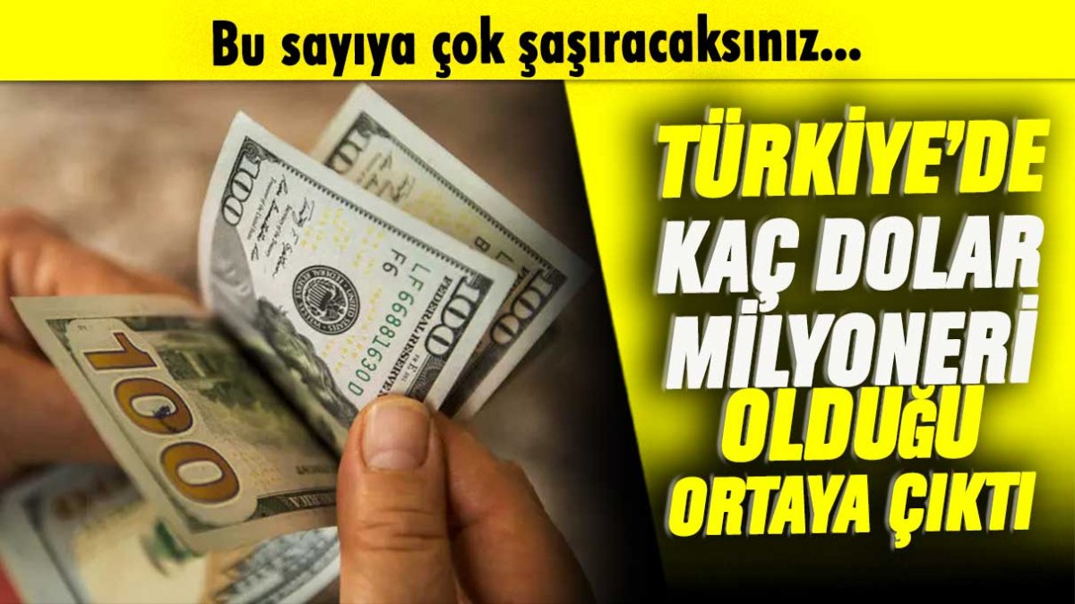 Türkiye'de kaç dolar milyoneri olduğu ortaya çıktı