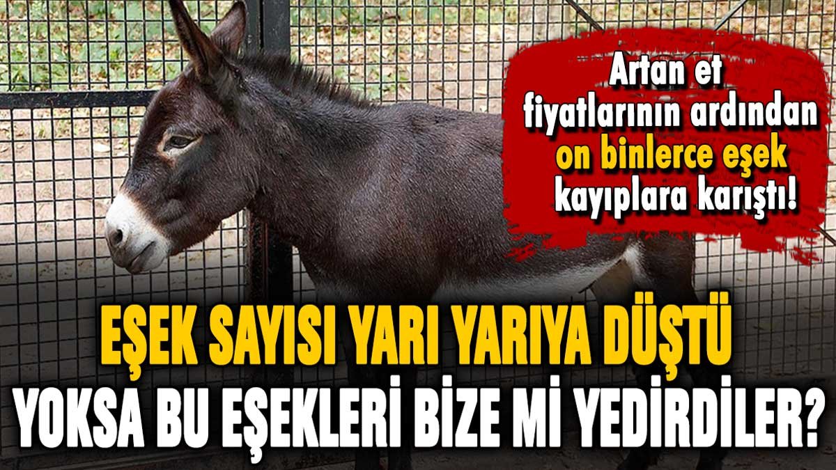 Türkiye'de on binlerce eşek yok oldu! Yoksa bu eşekleri vatandaşa mı yedirdiler?