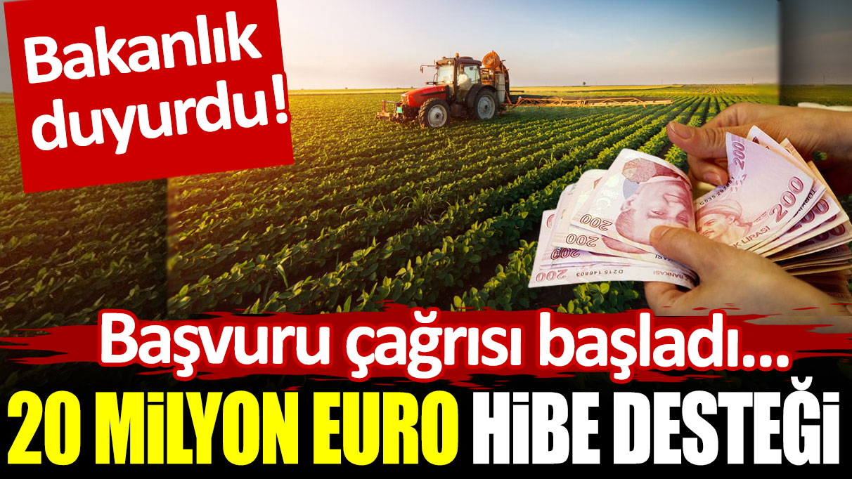 Bakanlık duyurdu: 20 milyon euro hibe desteği! Başvuru çağrısı başladı