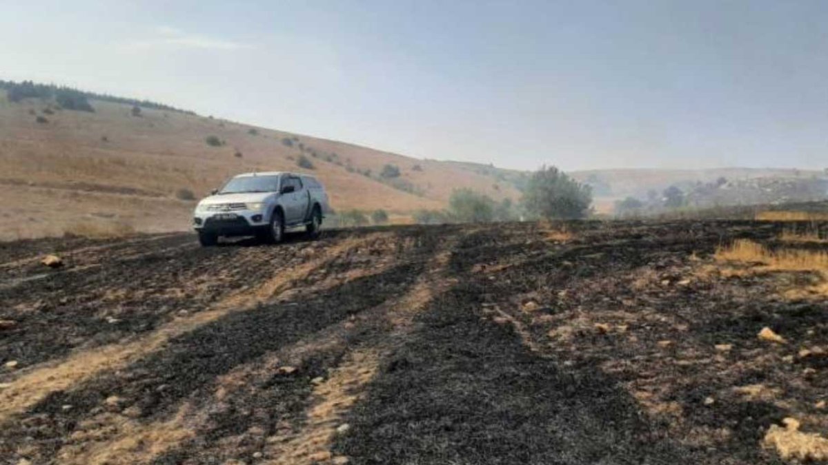 Eskişehir'de tarla yangını: 30 dönümlük alan zarar gördü