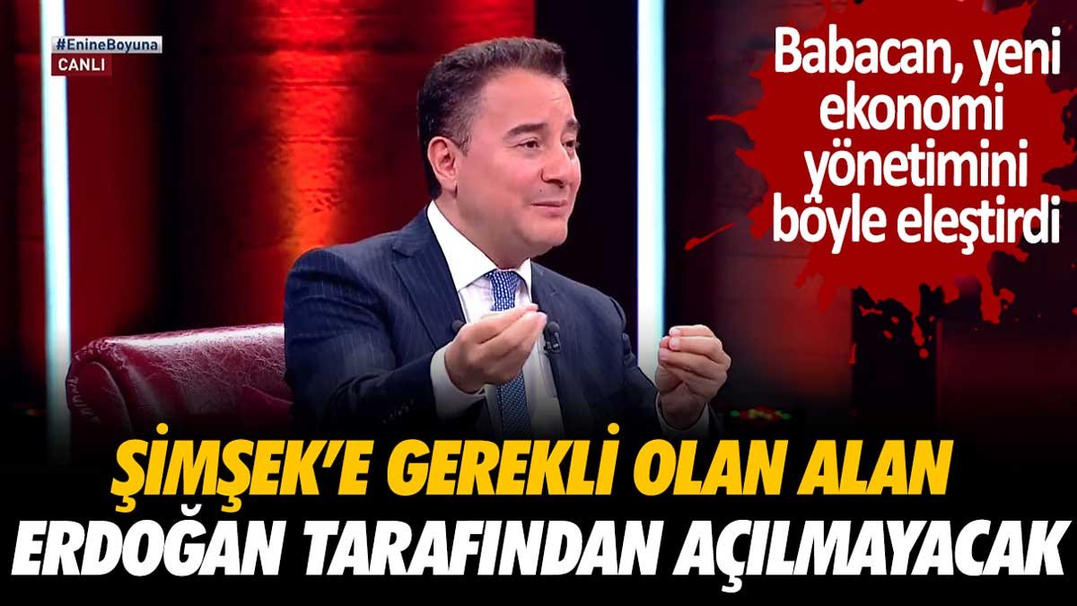 Ali Babacan'dan yeni ekonomi yönetimine eleştiri: "Erdoğan, Şimşek'e gerekli alanı açmayacak"