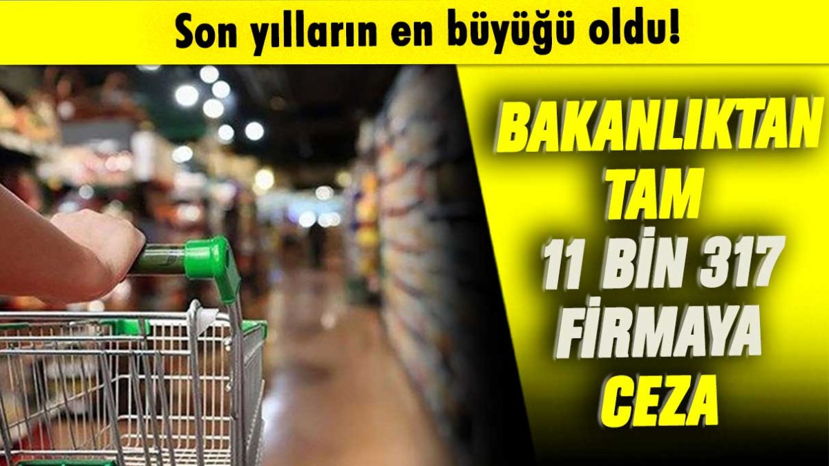 Son yılların en büyüğü: Bakanlıktan tam 11 bin 371 firmaya ceza